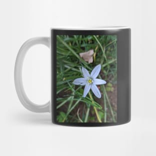 Star of Bethlehem 1 Mug